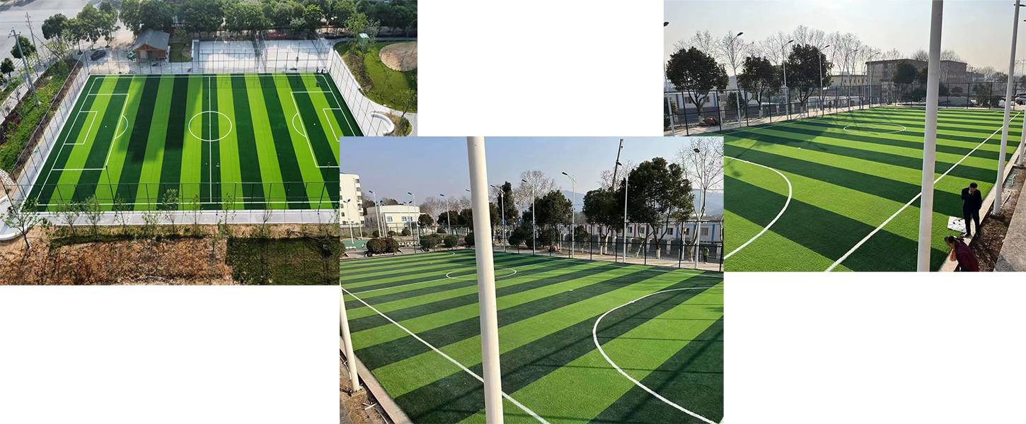 football grass appliation(1).jpg
